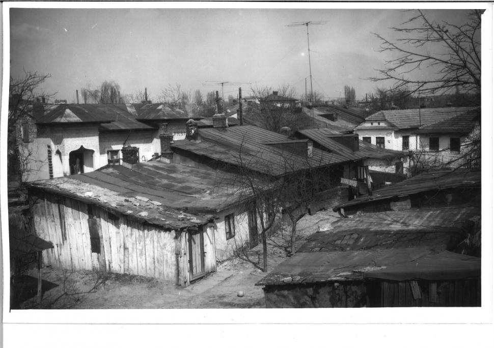 Locul din centrul Bucureștiului unde, acum 50 de ani, pășteau oi și vaci: "Foarte interesante pozele!" 891757