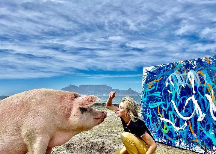 Pigcasso, purcica pictor, a murit: "Viaţa ei a făcut o diferenţă în lume" 892257