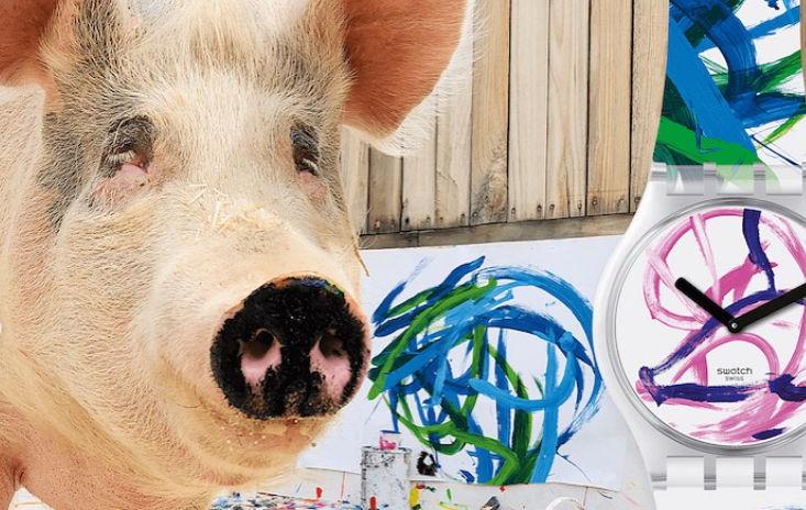 Pigcasso, purcica pictor, a murit: "Viaţa ei a făcut o diferenţă în lume" 892260