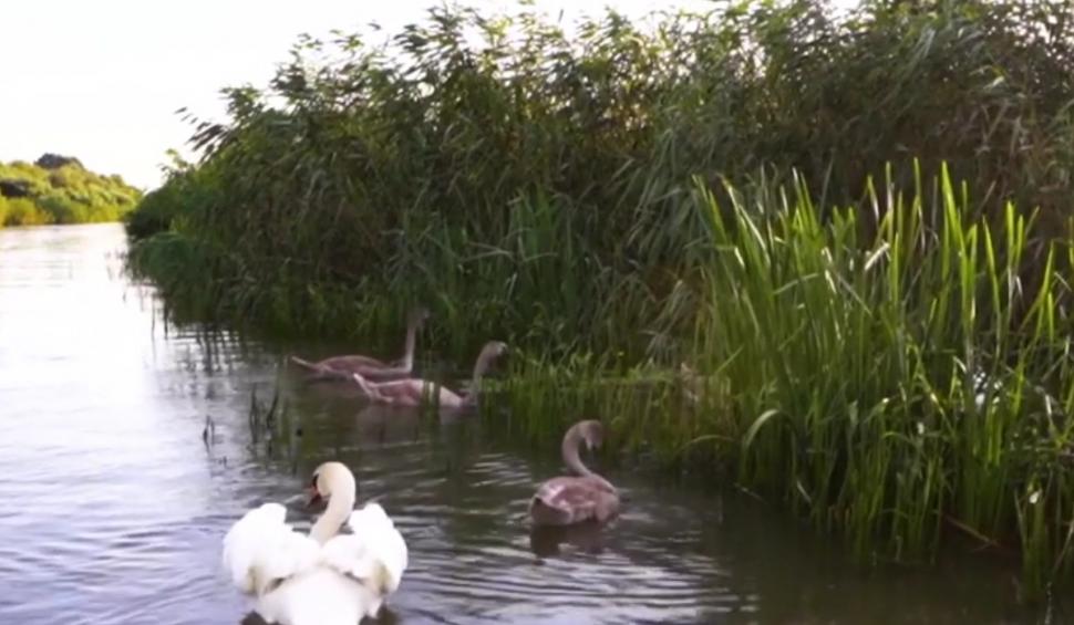 Paradisul dintre ape: Atmosferă de poveste şi bucate alese, într-o locaţie de vis din Delta Dunării 892321