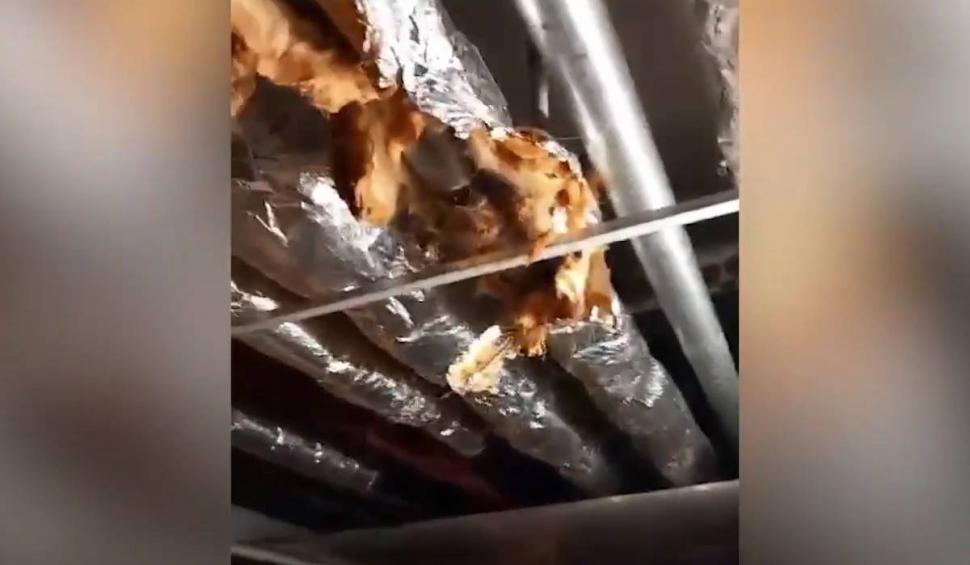 "Las' să ne pice d-ăsta în cap". Ţeavă de canalizare, spartă la un spital din București. Conducerea confirmă că avaria a fost remediată 892501