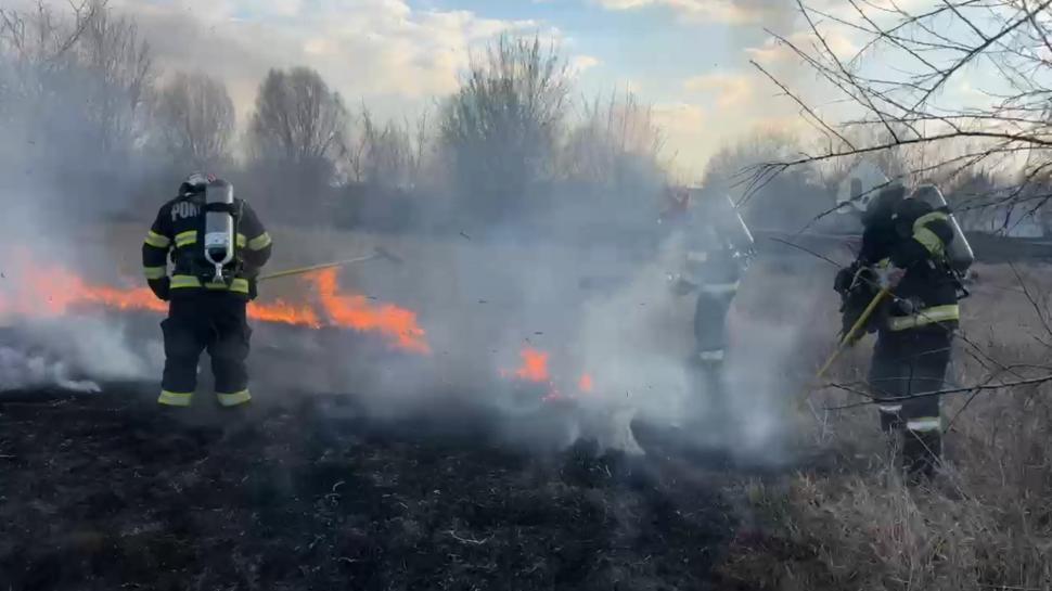 Peste 10.000 de metri pătraţi de vegetaţie au ars în Delta Văcăreşti 892968