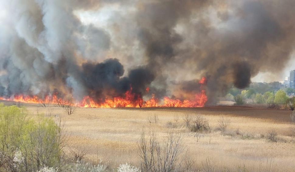 Peste 10.000 de metri pătraţi de vegetaţie au ars în Delta Văcăreşti 892974