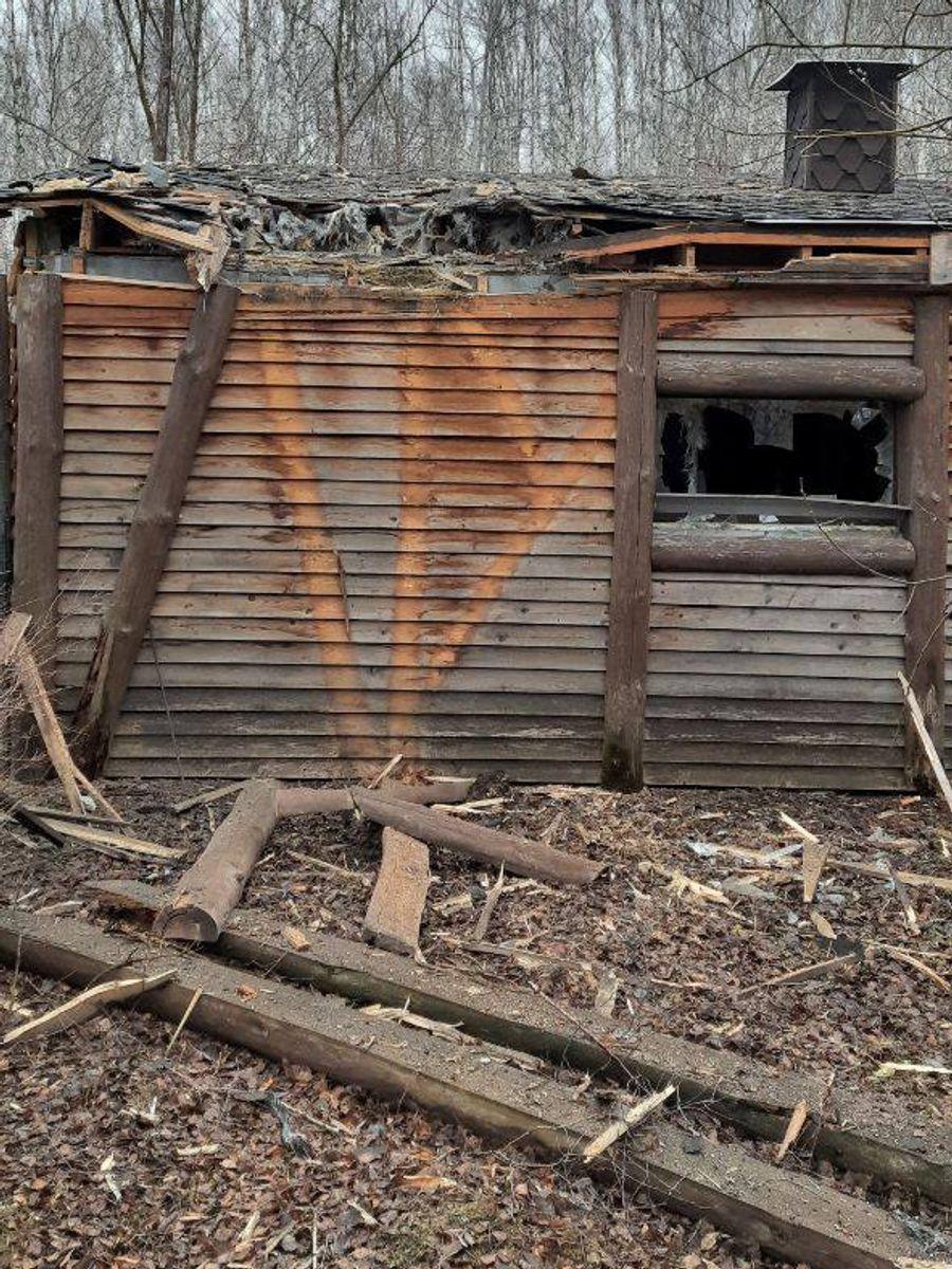 Ucrainenii ar fi ucis-o pe Grandi, vedeta grădinii zoologice din Belgorod. "Autopsia va stabili dacă femela cangur era însărcinată" 892788