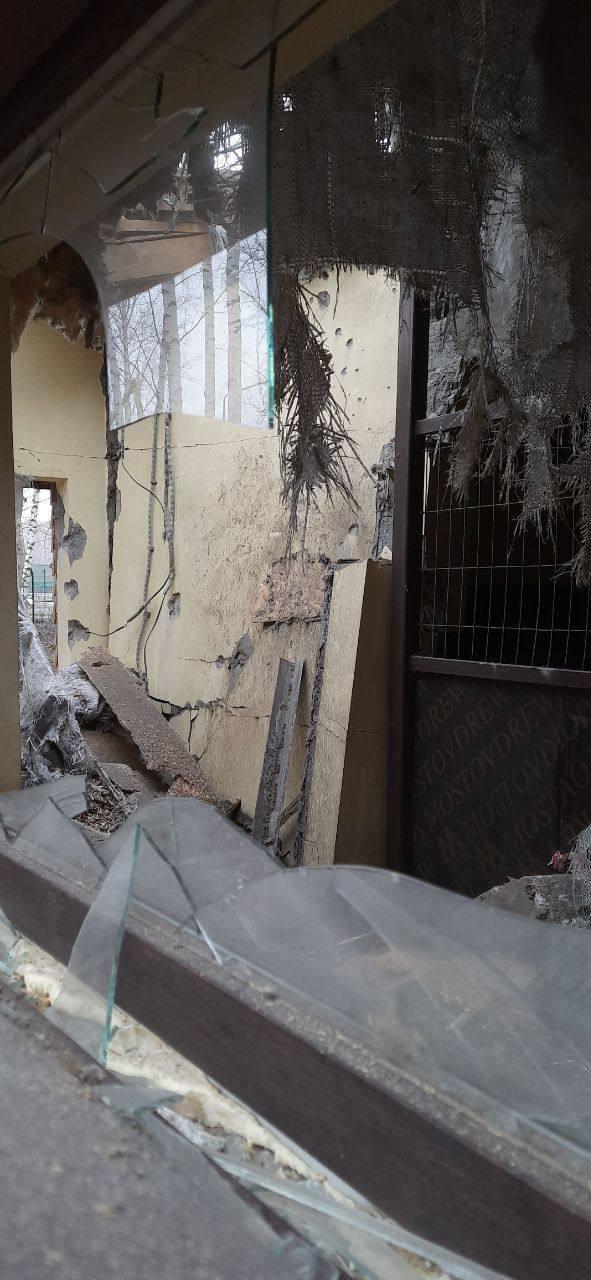 Ucrainenii ar fi ucis-o pe Grandi, vedeta grădinii zoologice din Belgorod. "Autopsia va stabili dacă femela cangur era însărcinată" 892789