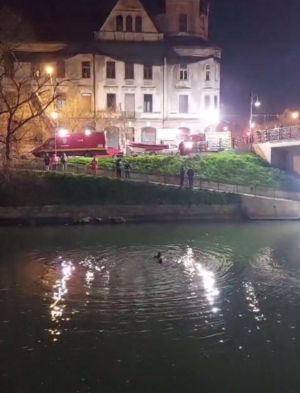 Pompierii caută o persoană care ar fi căzut în râul Bega. Pe mal s-au găsit doi câini care lătrau spre apă 893204
