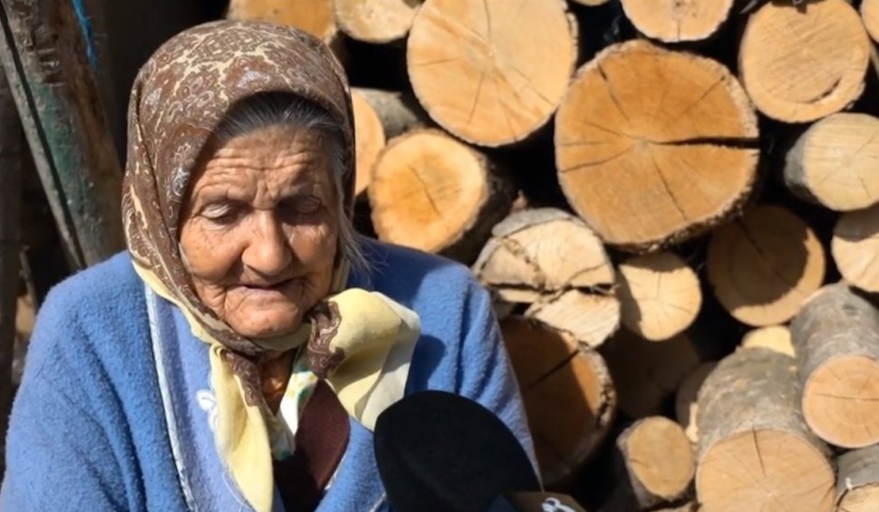 Data la care UE interzice sobele pe lemne în România. Cu ce vor fi înlocuite