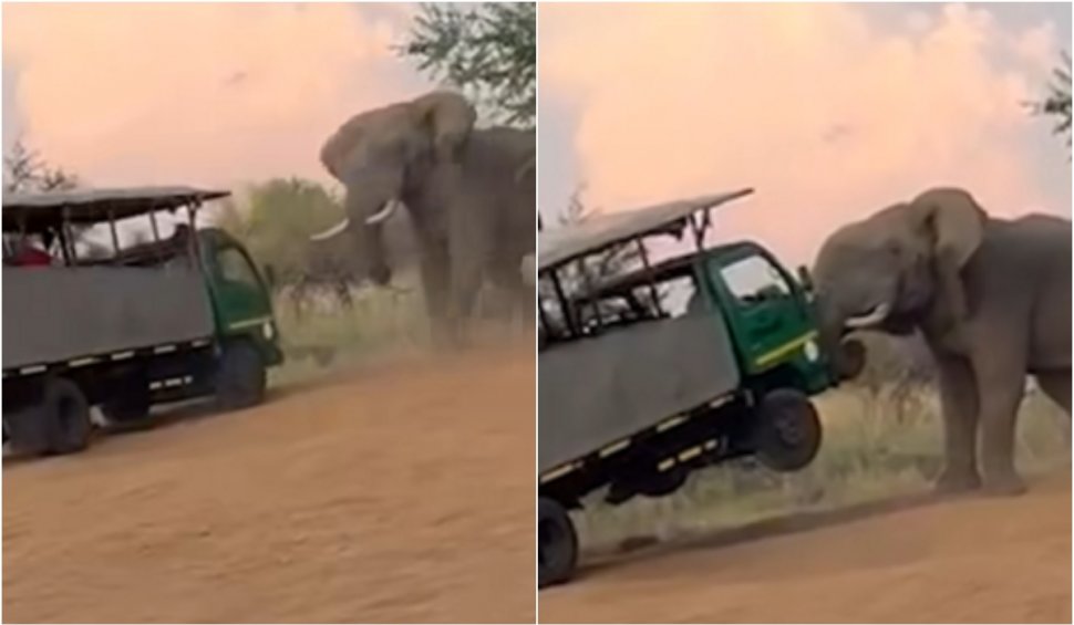 Momentul în care un camion de safari plin cu turiști este atacat de un elefant furios, în Africa de Sud 