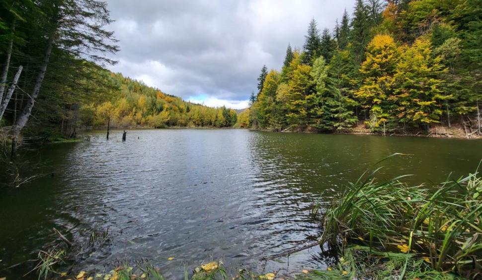 Lacul misterios din România care s-a format în urma cutremurului din 1977. Este situat la 1.288 de metri altitudine 893508