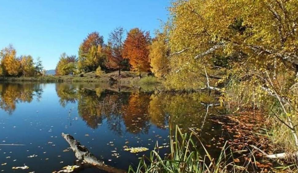 Lacul misterios din România care s-a format în urma cutremurului din 1977. Este situat la 1.288 de metri altitudine 893509