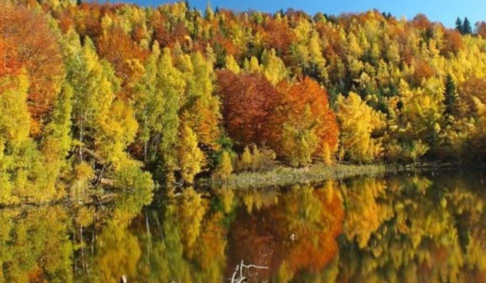 Lacul misterios din România care s-a format în urma cutremurului din 1977. Este situat la 1.288 de metri altitudine 893512