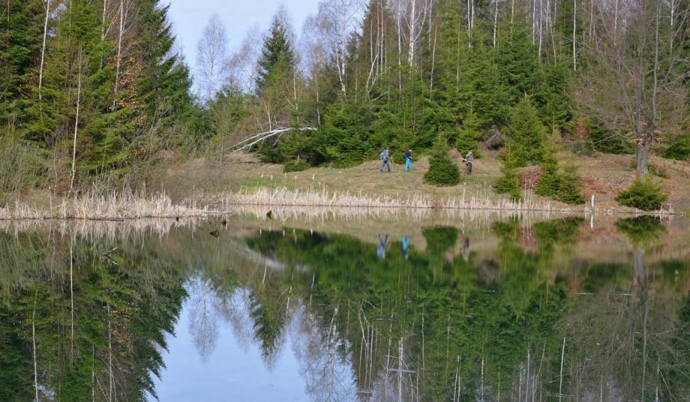 Lacul misterios din România care s-a format în urma cutremurului din 1977. Este situat la 1.288 de metri altitudine 893513