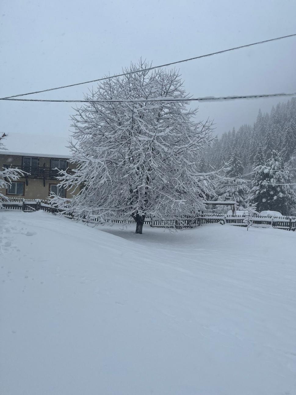 Ninge abundent în centrul țării | Mai multe drumuri sunt acoperite de zăpadă: "Nu plecați la drum dacă nu sunteți pregătiți pentru condiții de iarnă" 893636