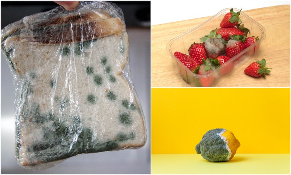 Ce se întâmplă când mănânci pâine sau alte produse mucegăite: ”Așa apar cancerele!”