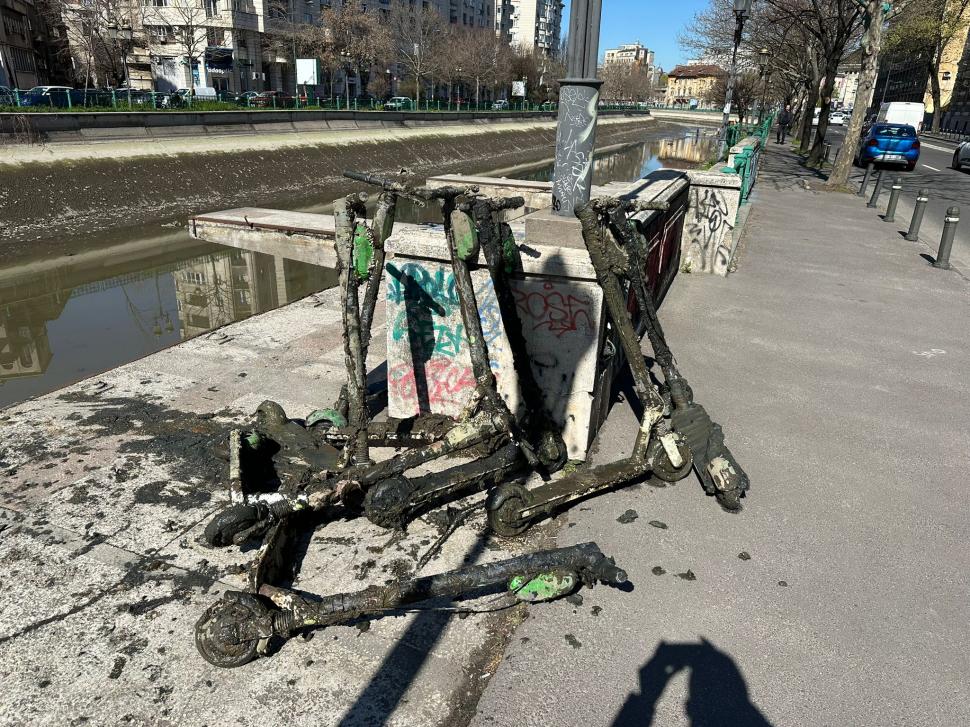 Ce s-a găsit pe fundul Dâmboviței după ce un tronson al râului a fost golit 893977