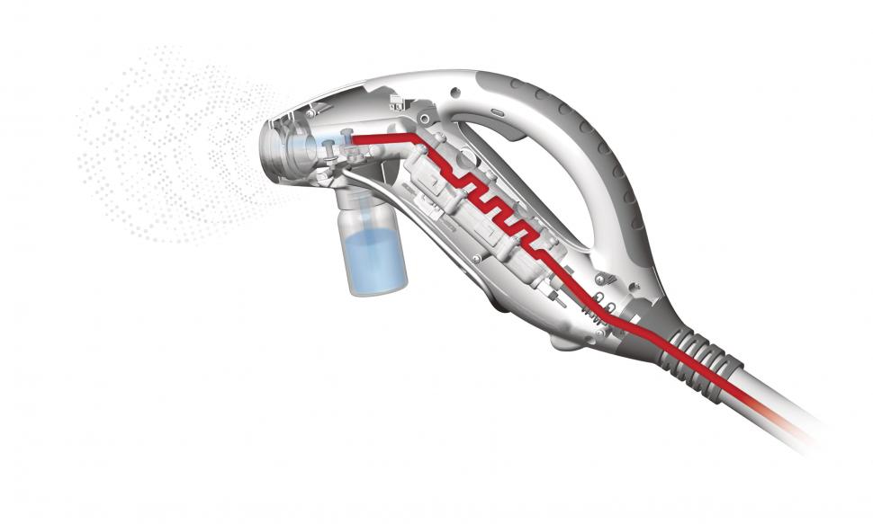 Cum pot scăpa școlile de invazia de ploșnițe 894142