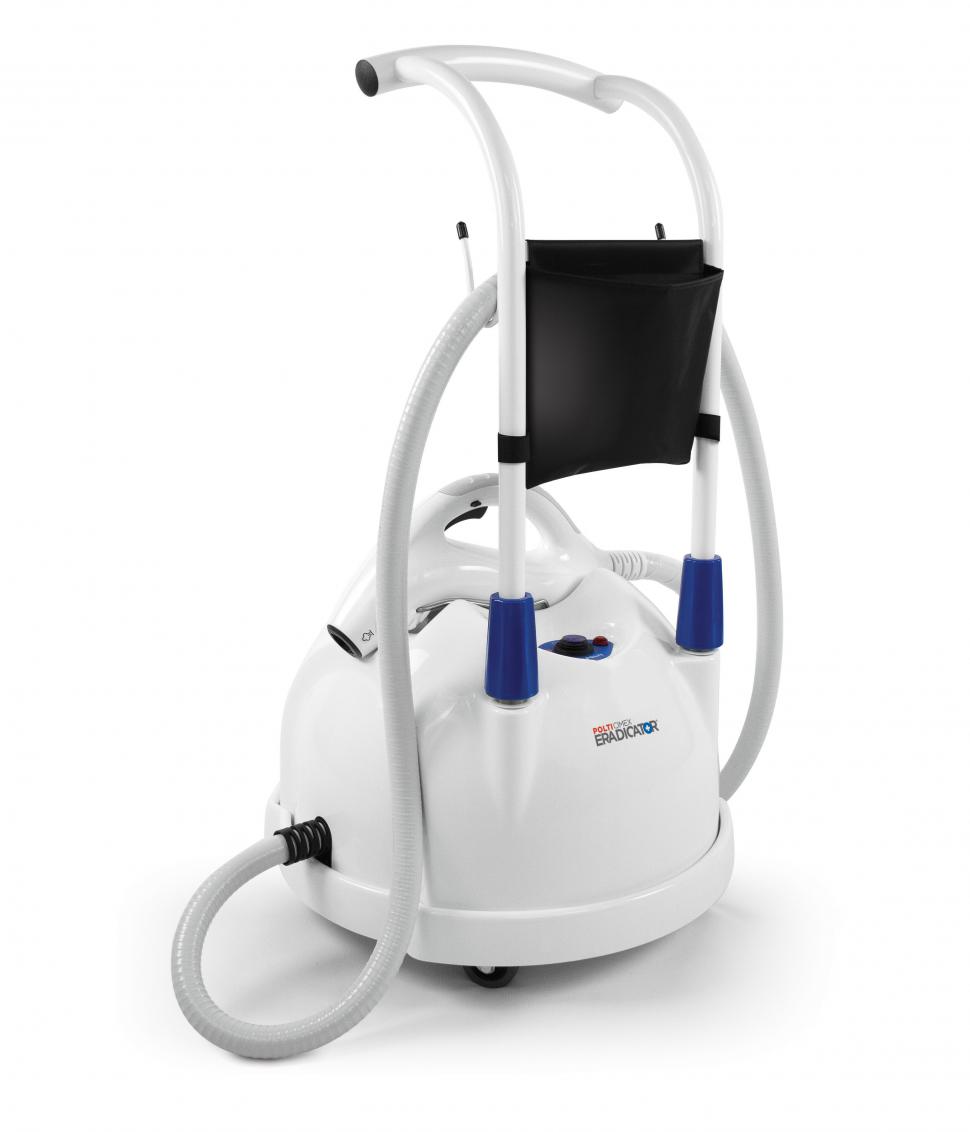 Cum pot scăpa școlile de invazia de ploșnițe 894143