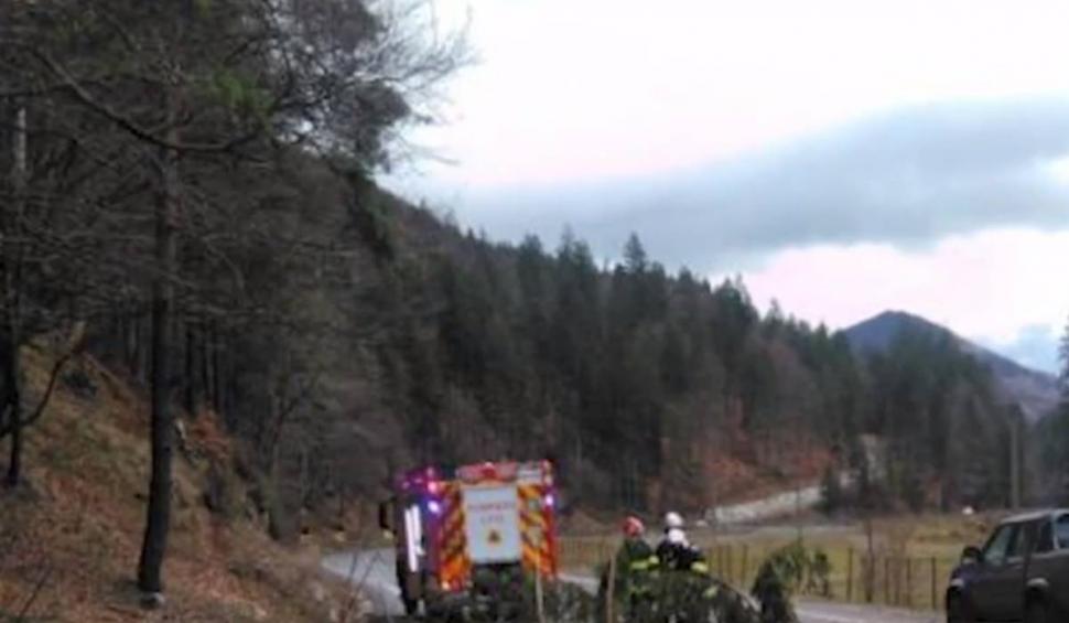 O familie cu cinci copii, la un pas de moarte după ce un copac a strivit mașina în care se afla 894505