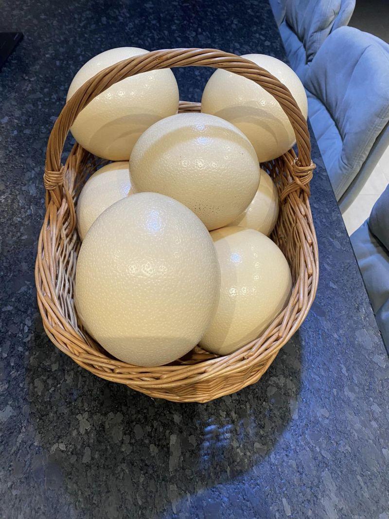 Afacerea cu care doi români au dat lovitura în Bacău: o bucată costă 80 de lei. "După doi ani, pot spune că este o afacere profitabilă" 895024