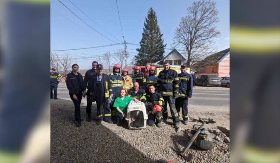 O căţeluşă blocată într-o conductă a fost salvată de pompieri din Iaşi, în urma unui apel la 112 895110