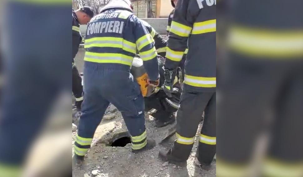 O căţeluşă blocată într-o conductă a fost salvată de pompieri din Iaşi, în urma unui apel la 112 895112