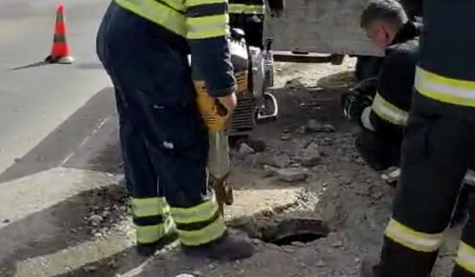 O căţeluşă blocată într-o conductă a fost salvată de pompieri din Iaşi, în urma unui apel la 112 895113