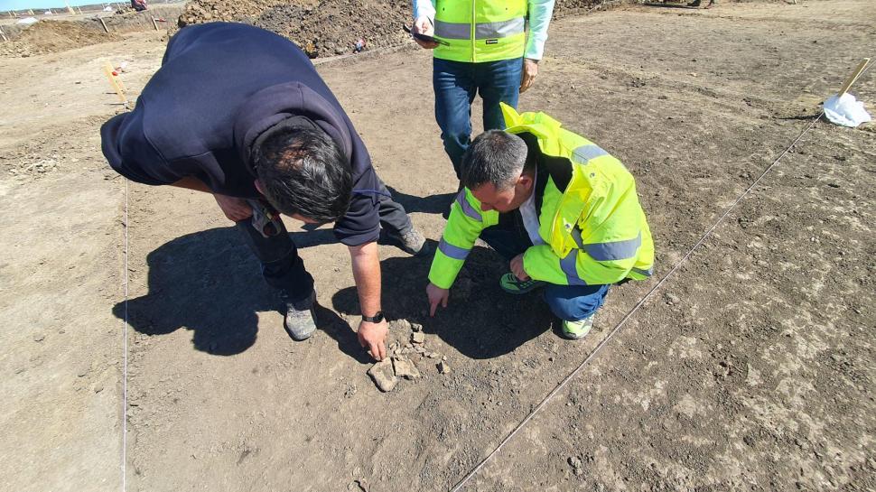 Vestigii de 7.000 de ani, descoperite odată cu lucrările de pe Autostrada Bucureştiului A0 895096