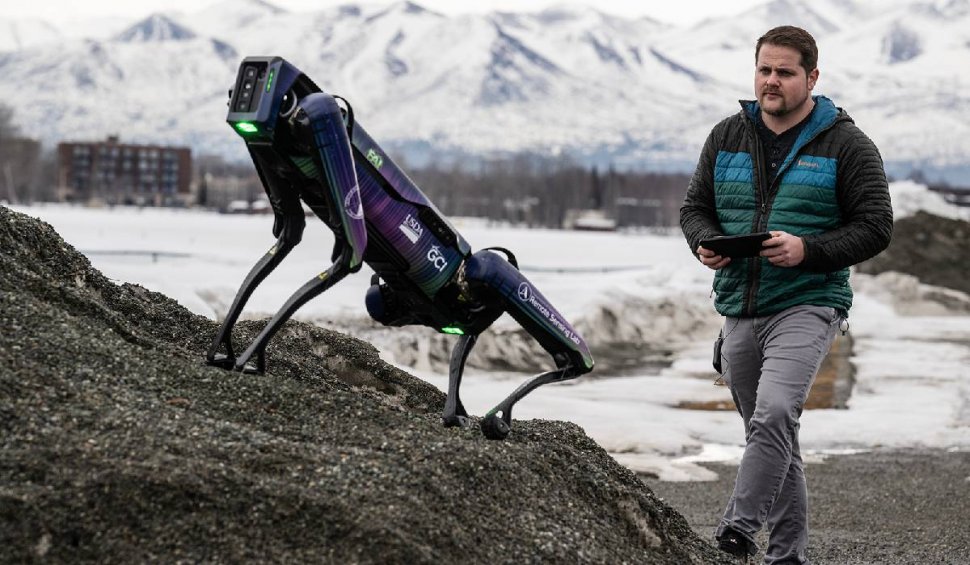 Un robot a fost ”angajat” să fugărească urșii de pe pistele de aterizare ale unui aeroport