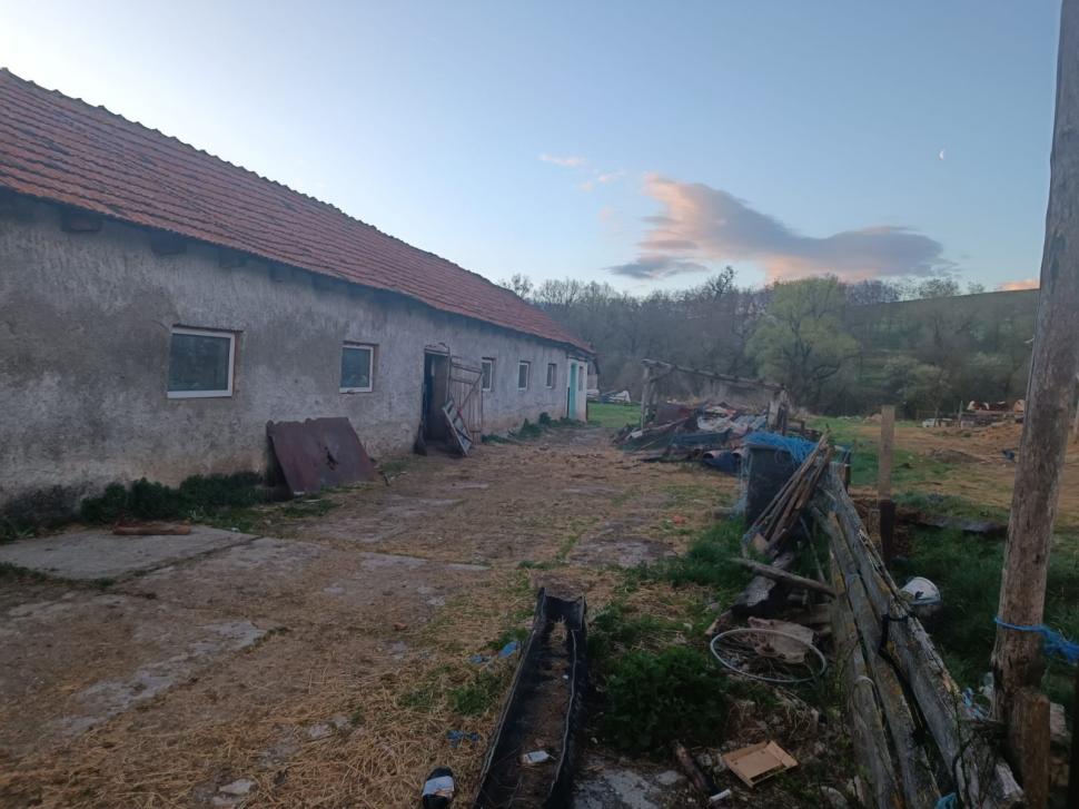 Minor exploatat prin muncă și ținut într-o cușcă de proprietarul unei stâne din Brașov | Procurorii DIICOT fac percheziții 895400