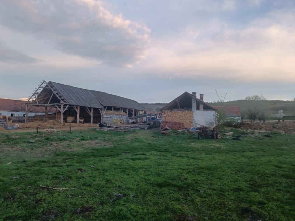 Minor exploatat prin muncă și ținut într-o cușcă de proprietarul unei stâne din Brașov | Procurorii DIICOT fac percheziții 895402