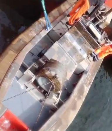 Alertă în Portul Midia: un obiect suspect a fost găsit pe barca recuperată din largul mării, în zona localității Tuzla. Autoritățile cred că este o dronă marină din Ucraina 895866