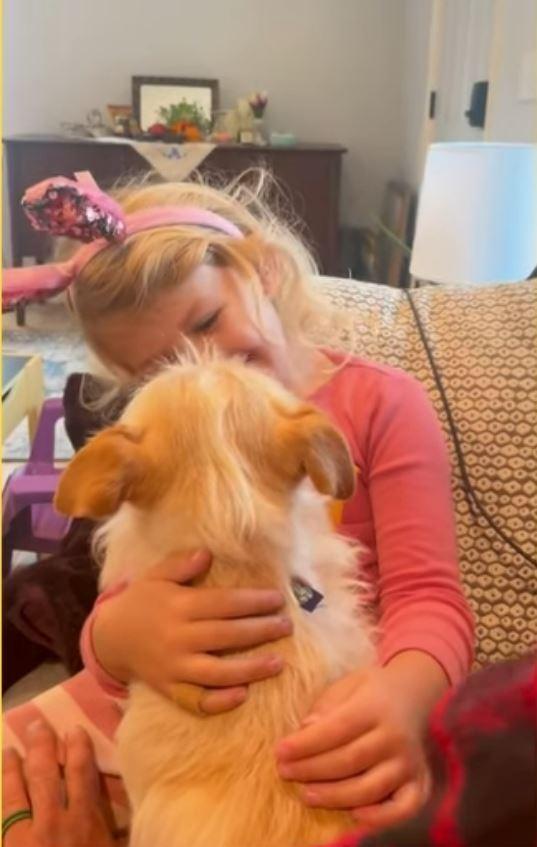 "O poveste pe care Hollywood-ul ar dori să o spună". Mishka, un metis de terrier dispărut vara trecută, a fost găsit în viaţă la 3.000 de kilometri de casă 895806