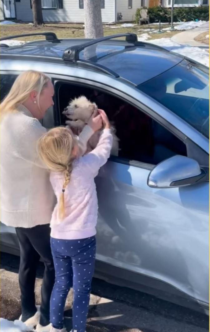 "O poveste pe care Hollywood-ul ar dori să o spună". Mishka, un metis de terrier dispărut vara trecută, a fost găsit în viaţă la 3.000 de kilometri de casă 895808