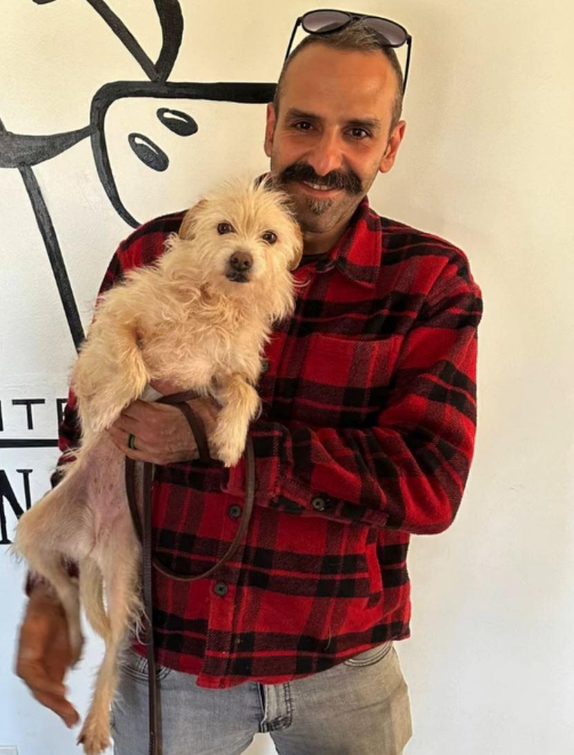 "O poveste pe care Hollywood-ul ar dori să o spună". Mishka, un metis de terrier dispărut vara trecută, a fost găsit în viaţă la 3.000 de kilometri de casă 895809