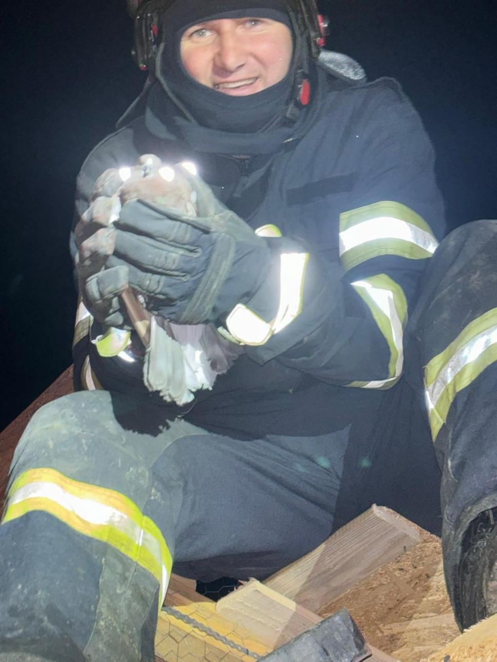 Ei sunt pompierii care s-au luptat peste patru ore cu flăcările la terasa de pe plaja Corbu. Au salvat și 20 de porumbei | ”Fiecare viață pentru noi contează” 896013