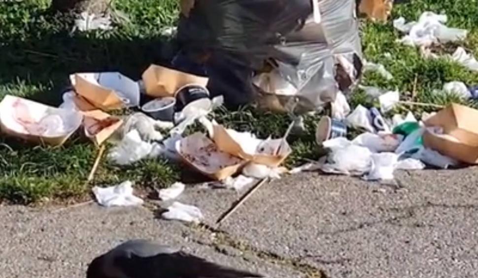 Parcul Herăstrău, invadat de gunoaie, ciori și șobolani. Liviu Negoiță (PUSL): "Nicușor Dan ne zâmbește și ne mulțumește" 896468