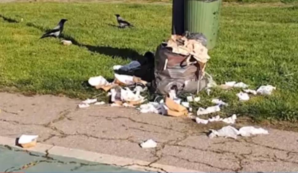 Parcul Herăstrău, invadat de gunoaie, ciori și șobolani. Liviu Negoiță (PUSL): "Nicușor Dan ne zâmbește și ne mulțumește" 896469