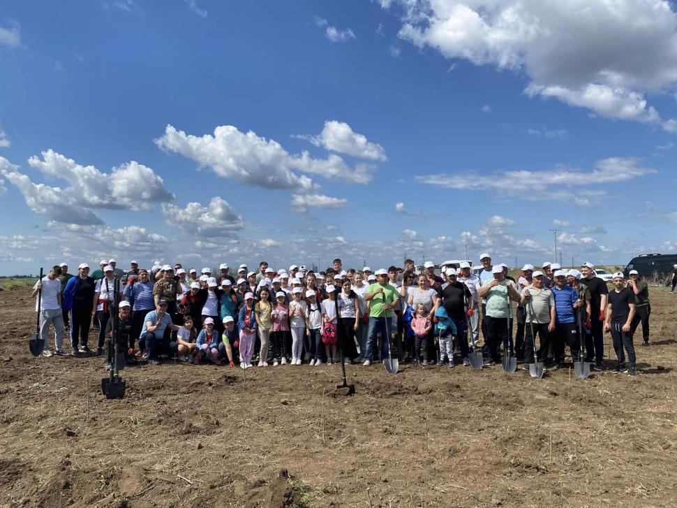 Comuna din România unde locuitorii şi-au plantat propria pădure pentru a avea unde să iasă la iarbă verde  896649