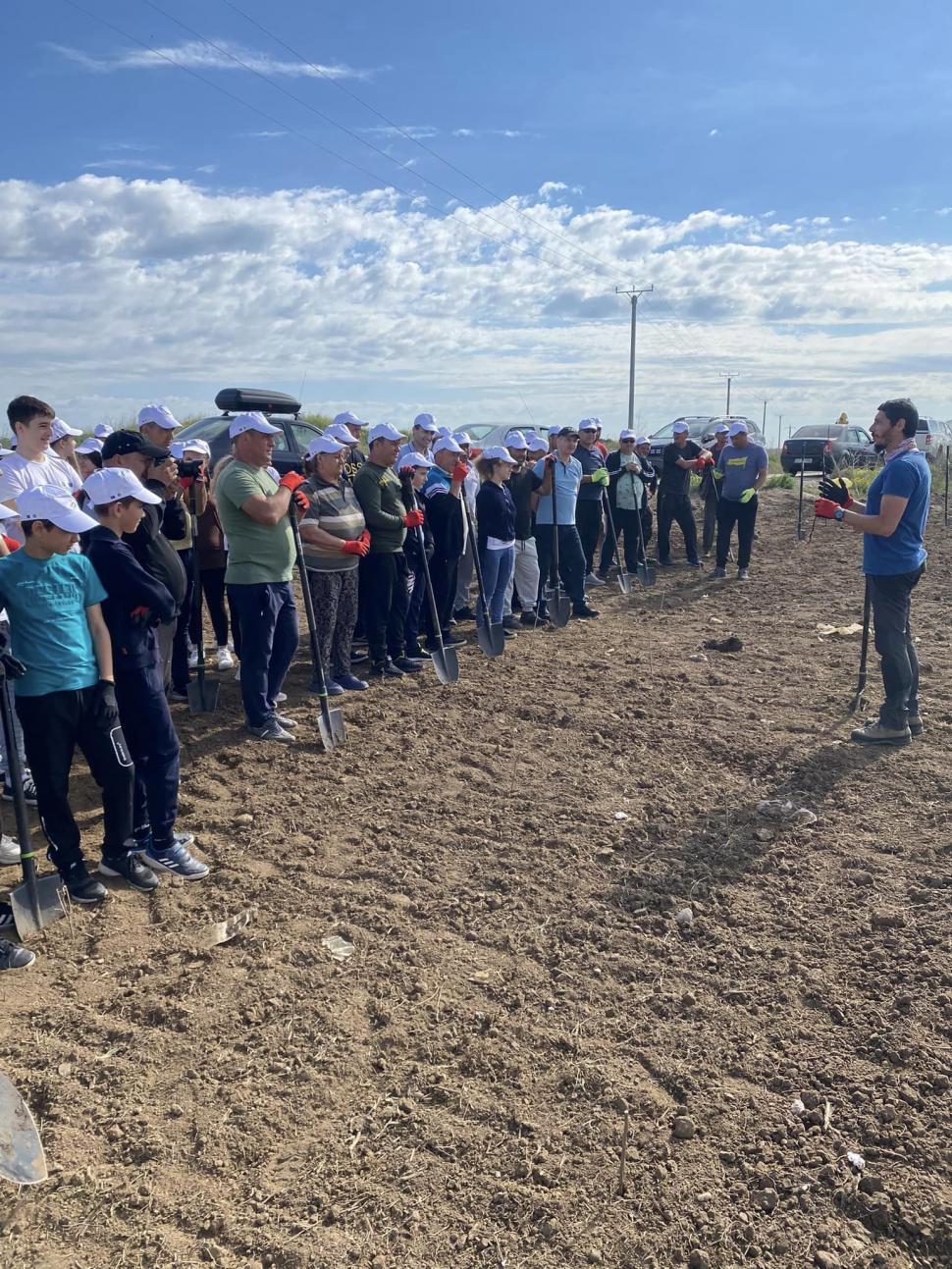 Comuna din România unde locuitorii şi-au plantat propria pădure pentru a avea unde să iasă la iarbă verde  896650