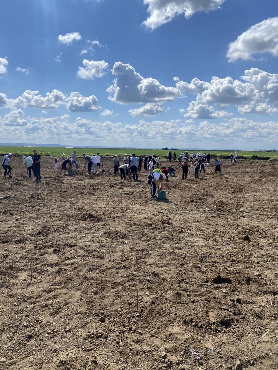 Comuna din România unde locuitorii şi-au plantat propria pădure pentru a avea unde să iasă la iarbă verde  896651