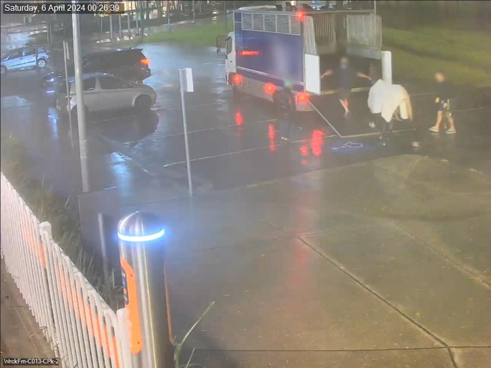 Povestea calului care a încercat să ia trenul de navetiști, într-un oraș din Australia: "Era un pic agitat!" 896862