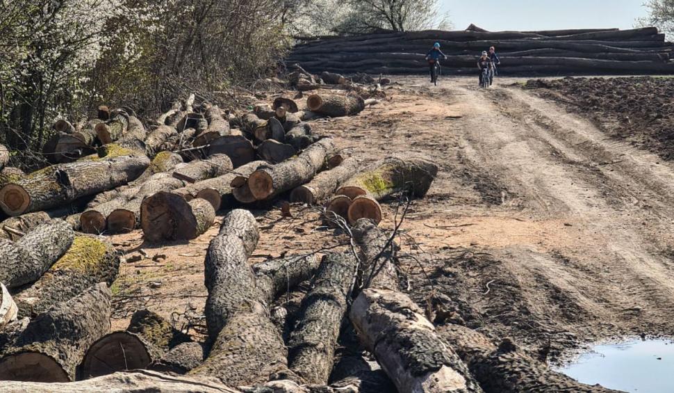 Centura Verde București-Ilfov, înscrisă ca amendamente la noul Cod Silvic. Ministerul Mediului susține oficial demersul 897071