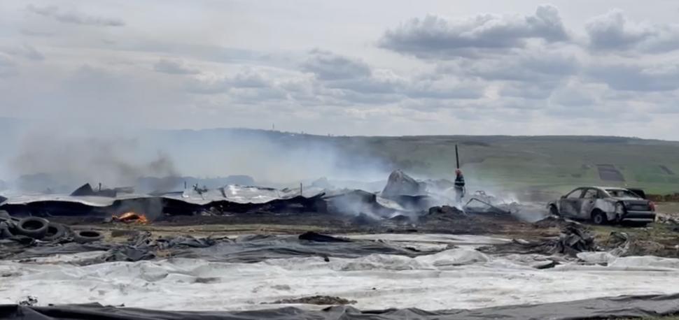 Incendiu violent la o fermă de animale din Botoșani: Zeci de animale au murit 897285