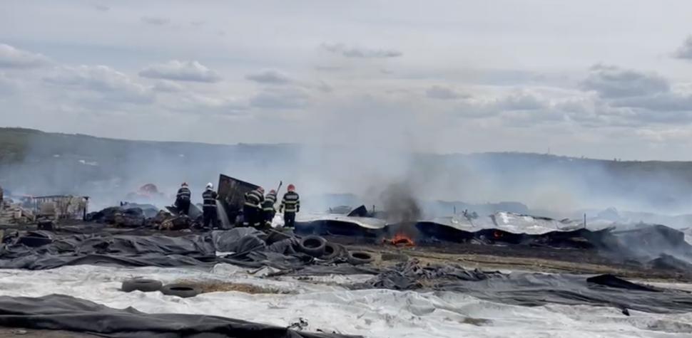 Incendiu violent la o fermă de animale din Botoșani: Zeci de animale au murit 897286