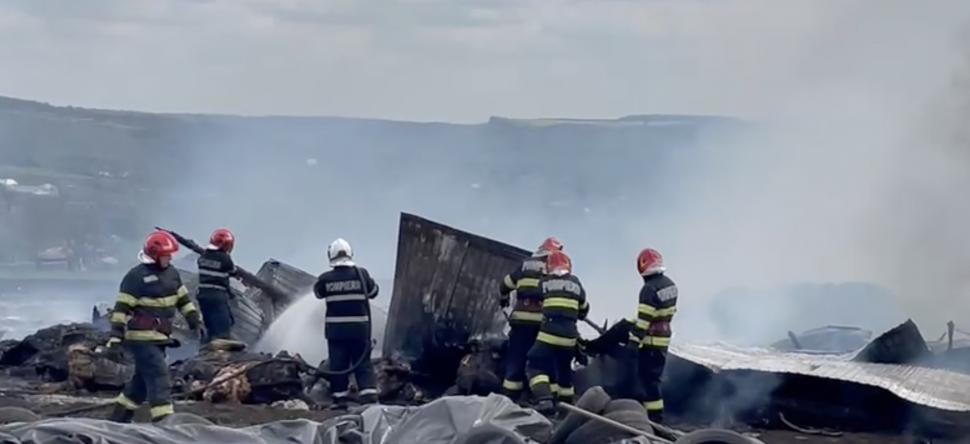 Incendiu violent la o fermă de animale din Botoșani: Zeci de animale au murit 897287