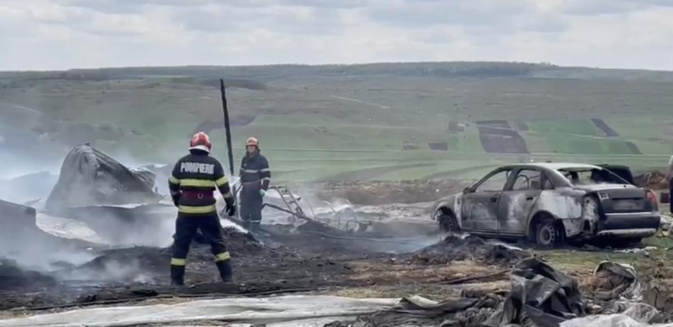 Incendiu violent la o fermă de animale din Botoșani: Zeci de animale au murit 897288