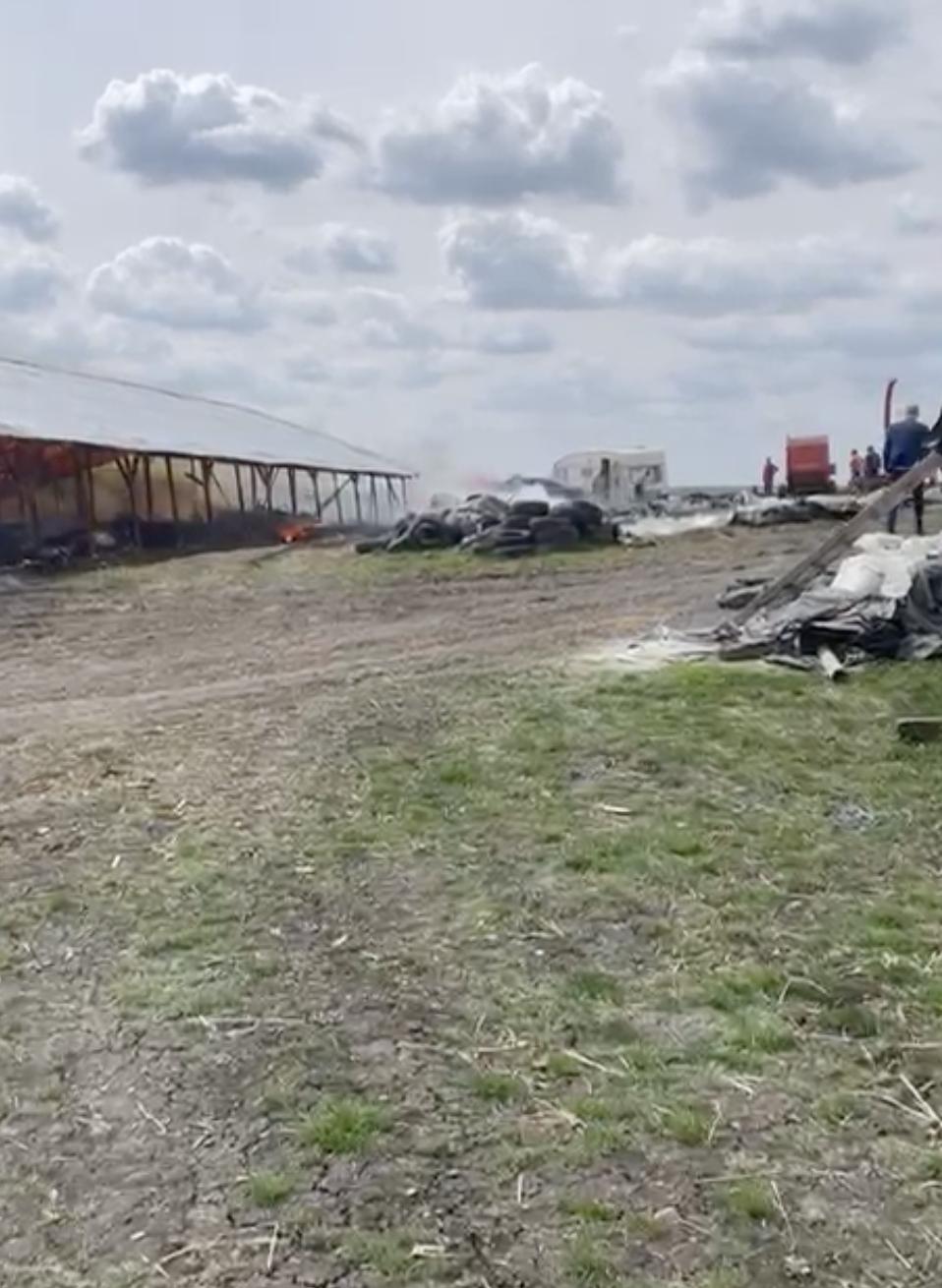 Incendiu violent la o fermă de animale din Botoșani: Zeci de animale au murit 897289