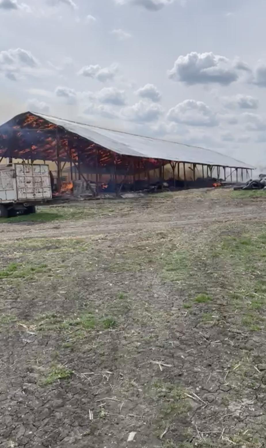 Incendiu violent la o fermă de animale din Botoșani: Zeci de animale au murit 897290