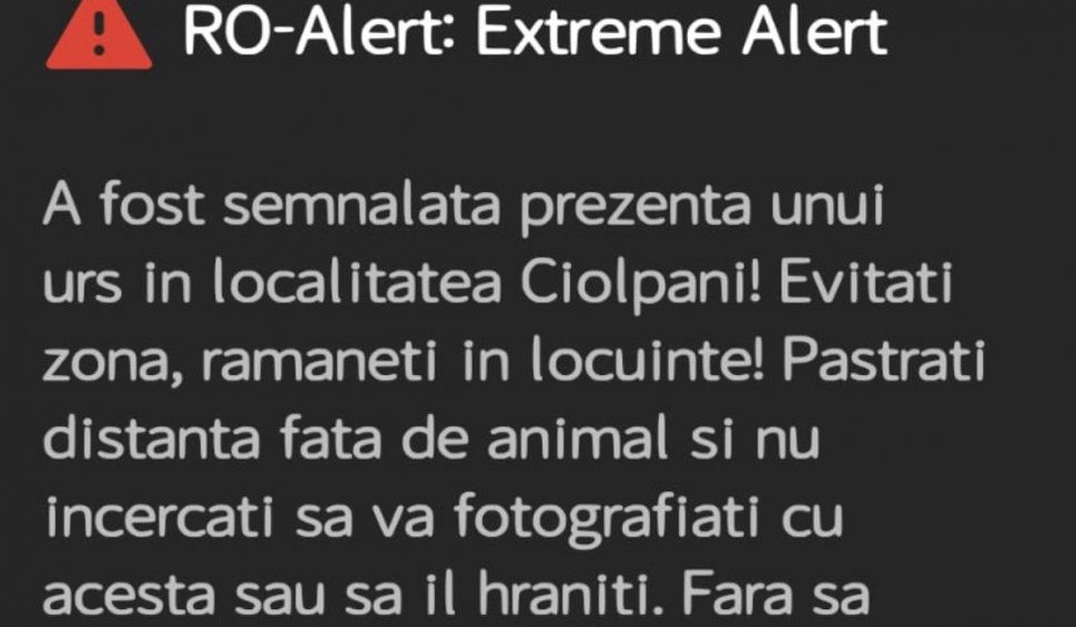 Mesaj RO-Alert în Ciolpani și Snagov! Locuitorii de lângă București au fost avertizați privind prezența unui urs în zonă