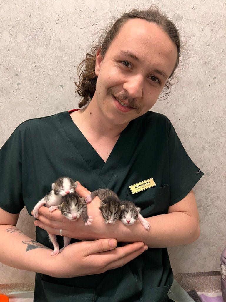 O pisică fără stăpân din Iaşi a mers singură la spital ca să îşi nască în siguranţă puii: "Am crezut că a abandonat-o cineva și ne-am uitat pe camere" 897249